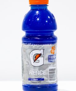 Gatorade 20 FL Oz (1.25PT) 591ML 