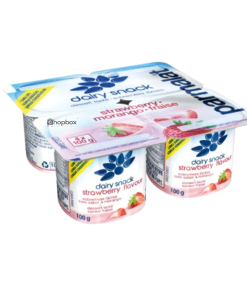 Parmalat Dairy Snack Strawberry 100g