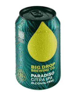 BIG DROP PARADISO N/A IPA 6PK