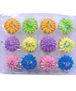 Mini Bright Cupcakes 12 x Pack of 12
